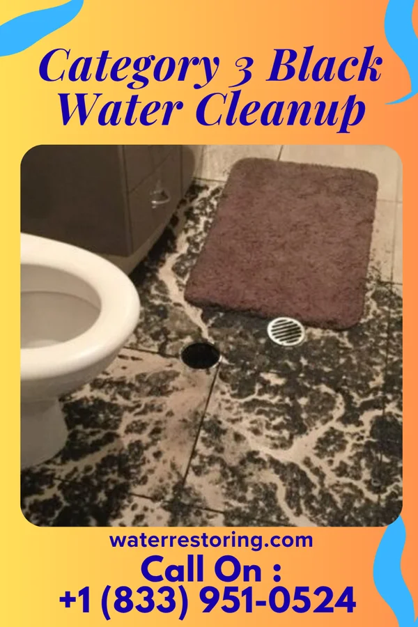 Category 3 Black Water Cleanup in Great Neck Gardens, NY