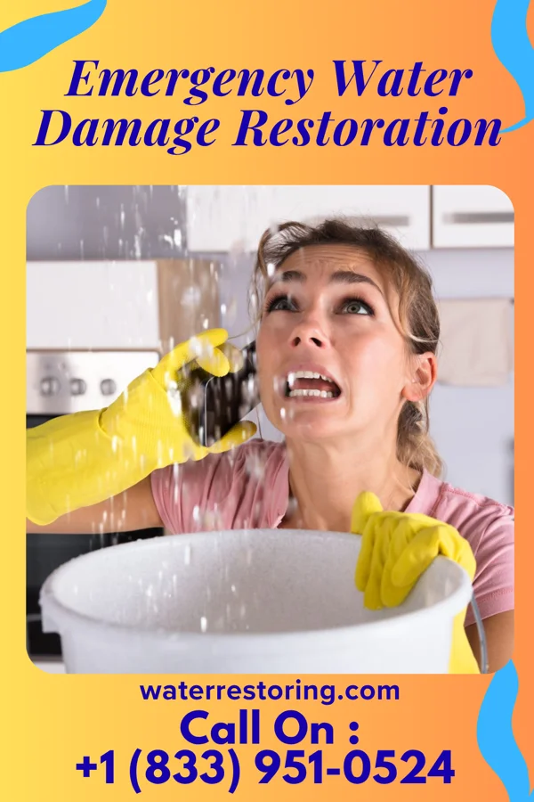 Emergency Water Damage Restoration in Great Neck Gardens, NY