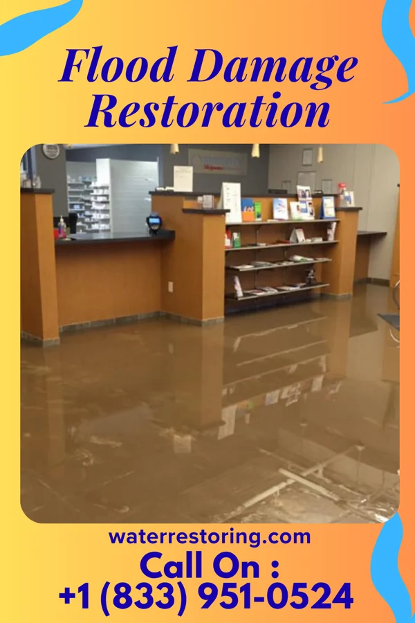 Flood Damage Restoration in Great Neck Gardens, NY