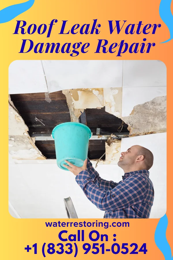 Roof Leak Water Damage Repair in Great Neck Gardens, NY