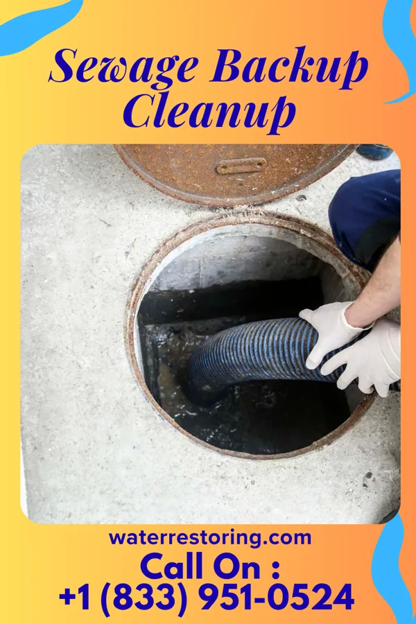 Sewage Backup Cleanup in Great Neck Gardens, NY